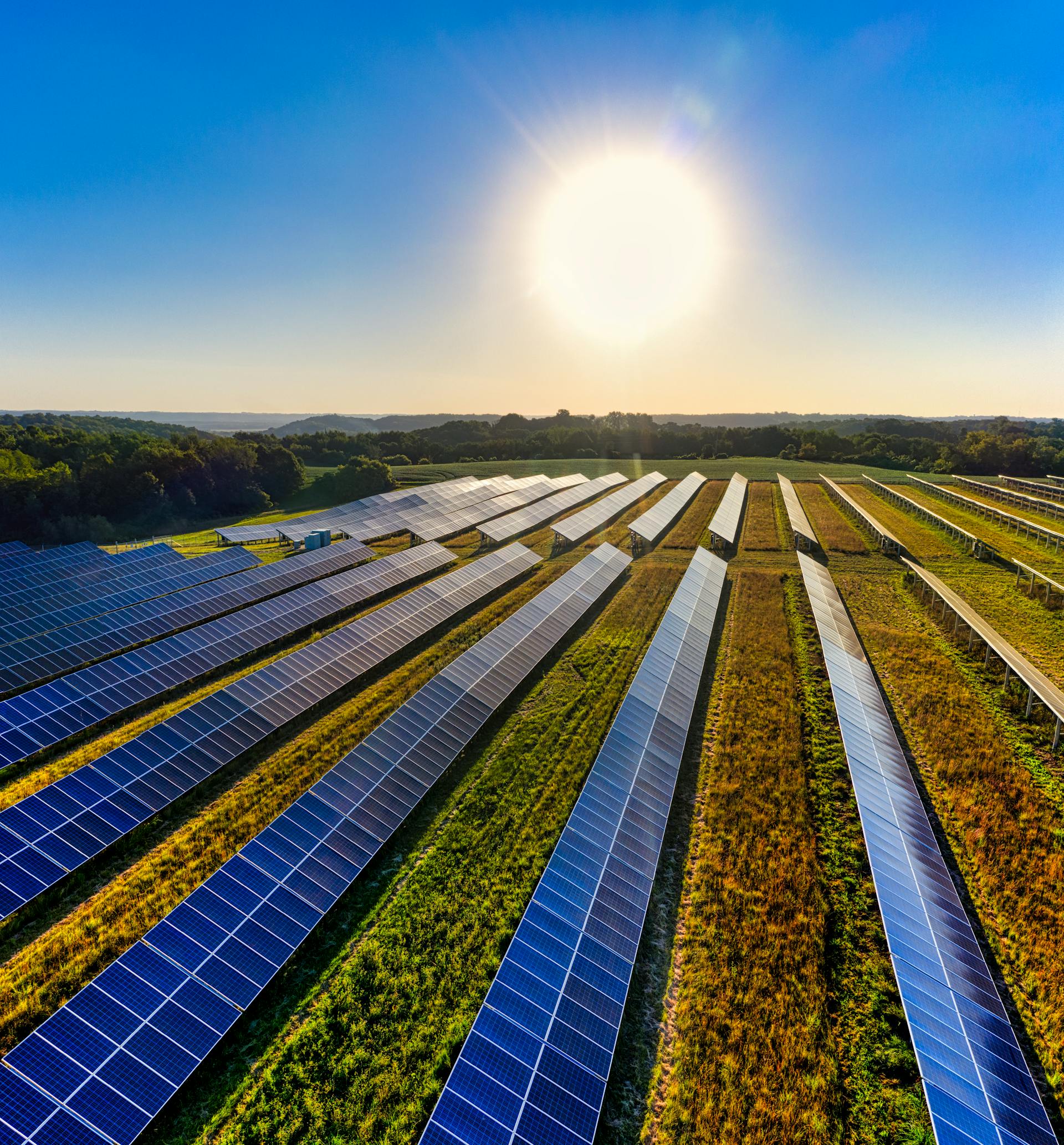 Solar panel array generating renewable electricity